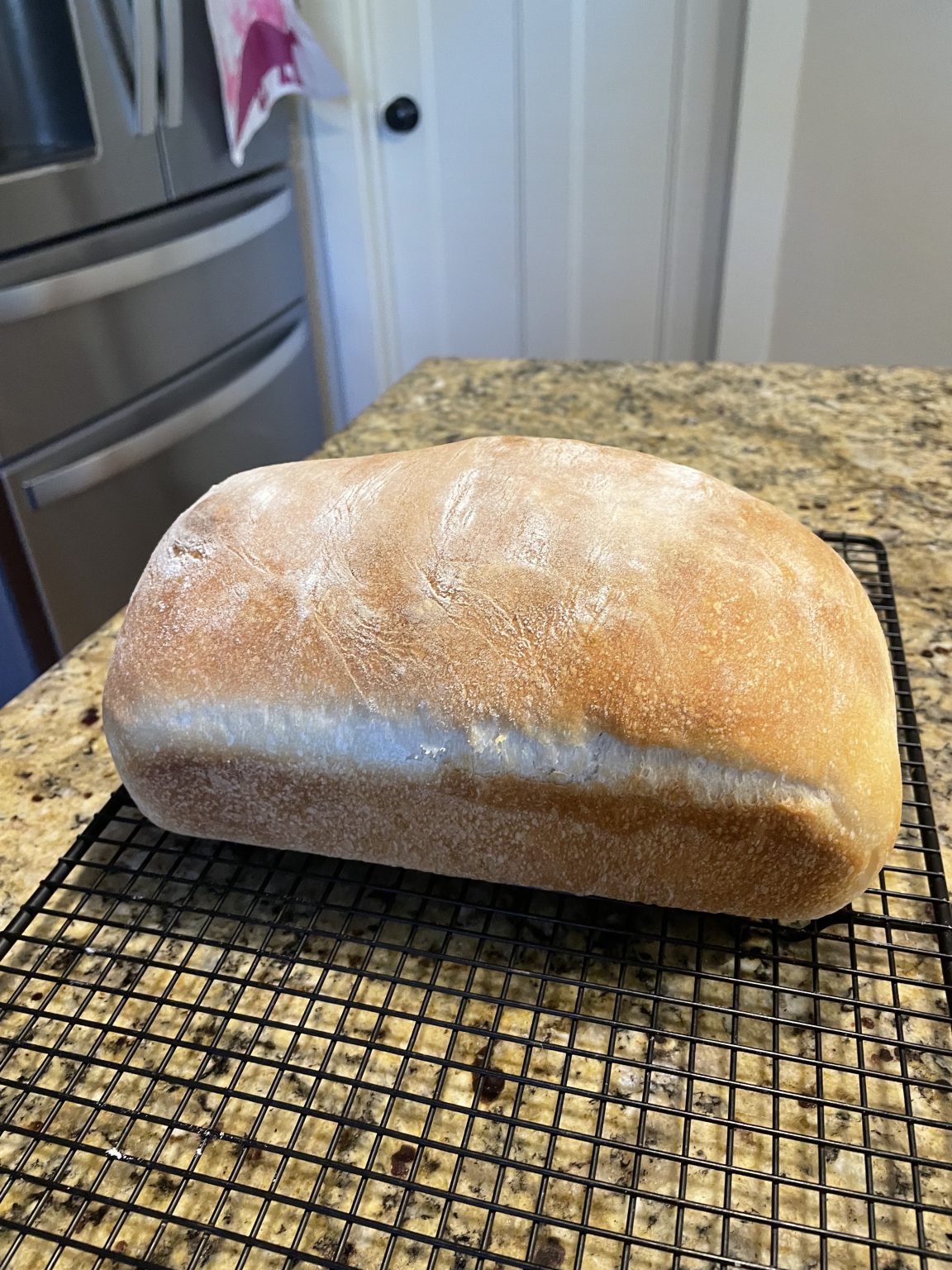 10 Day Journey to a Sourdough Starter CTRLALTMAKE